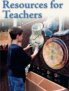 Resources for Teachers