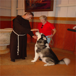 Blessing of animals
